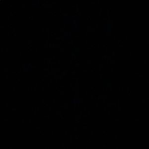 Meet your Posher, Joana